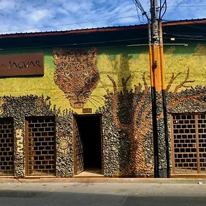  Hotel Refugio Del Jaguar Colombia